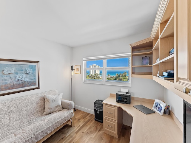 office area featuring light hardwood / wood-style floors