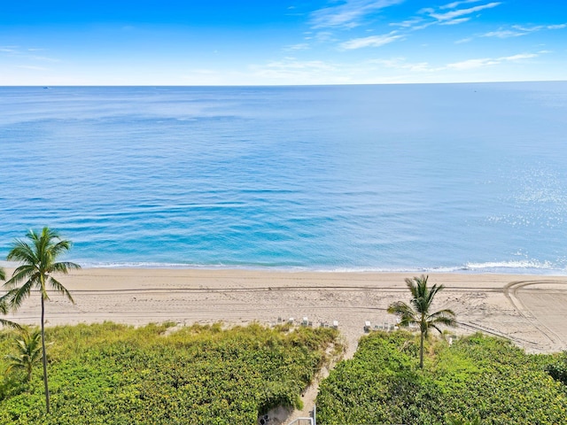 property view of water featuring a beach view