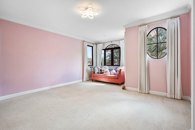 unfurnished room featuring ornamental molding, light carpet, and a textured ceiling