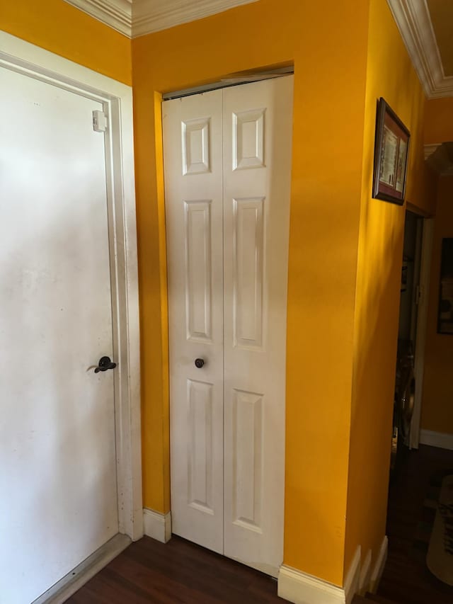 corridor featuring crown molding and dark wood-type flooring