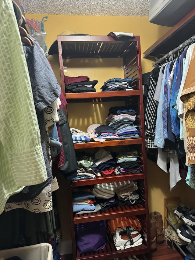 spacious closet featuring wood-type flooring