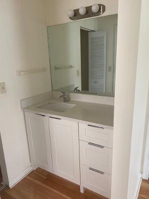 bathroom featuring hardwood / wood-style flooring and vanity