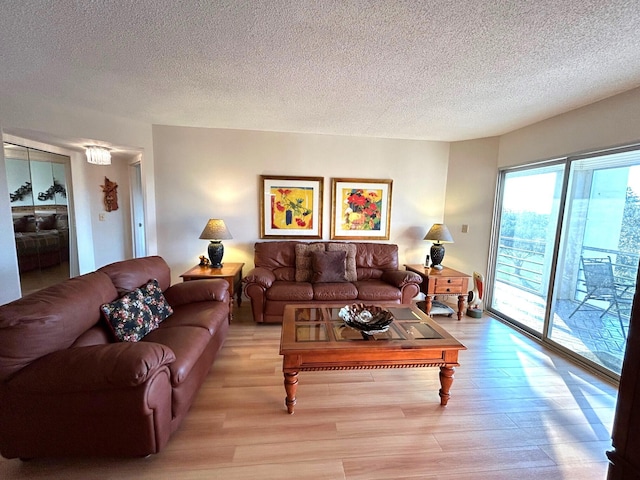 living room featuring a textured ceiling and light wood-type flooring