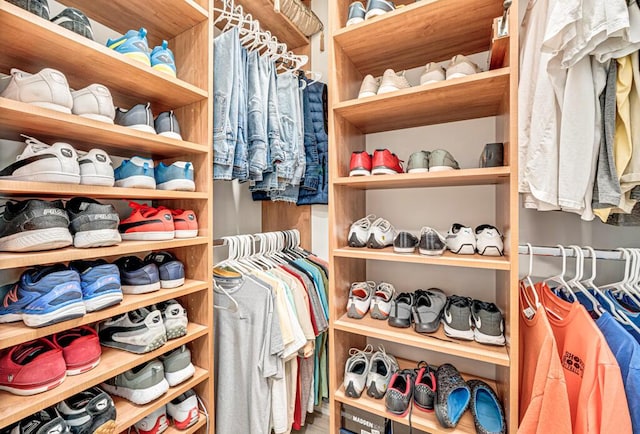 view of spacious closet