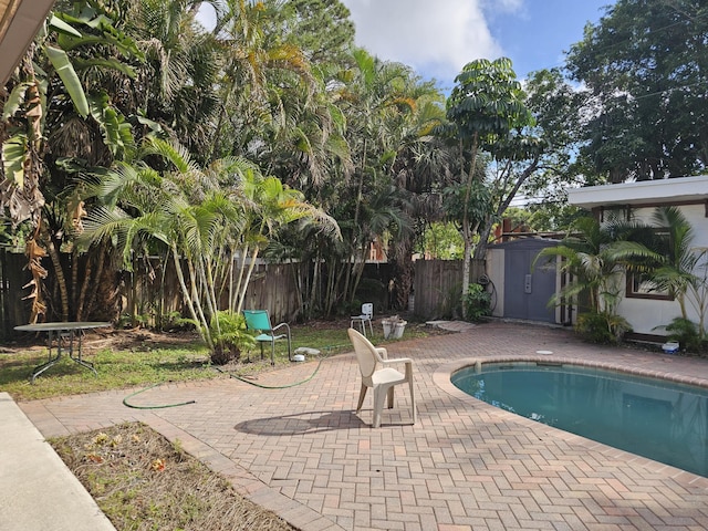 view of pool featuring a storage shed and a patio