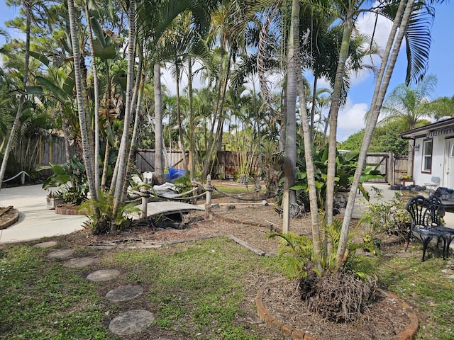 view of yard featuring a patio area