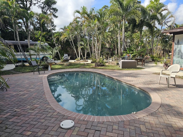 view of swimming pool with a patio area