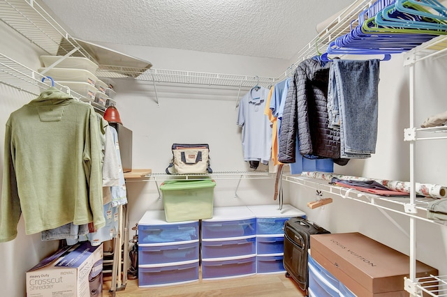 walk in closet featuring light wood-type flooring