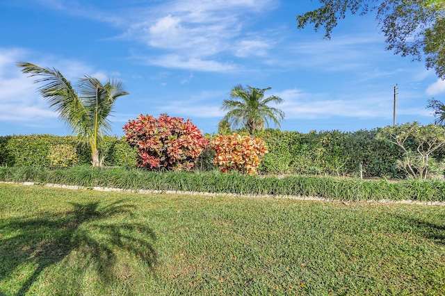 view of yard