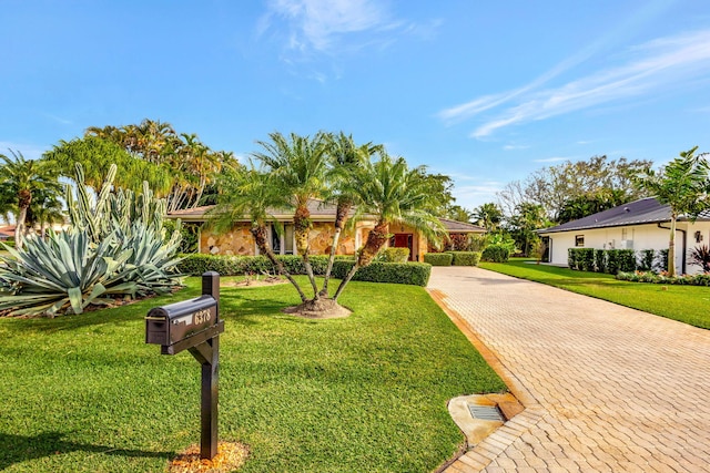 ranch-style house featuring a front yard