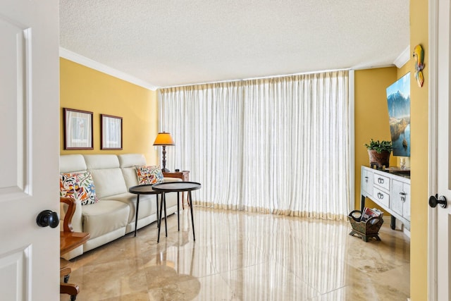 sitting room with ornamental molding and a textured ceiling