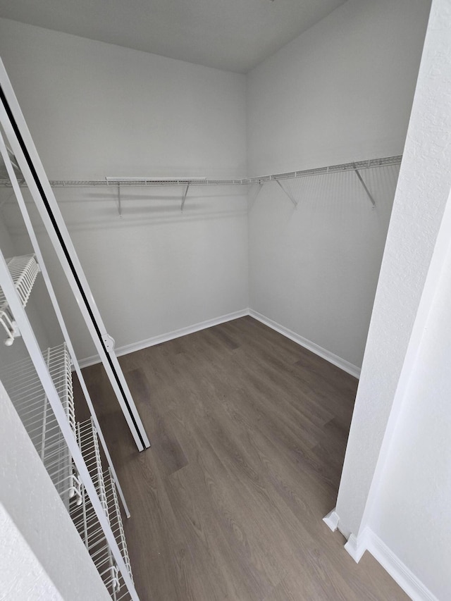 walk in closet with dark wood-style floors