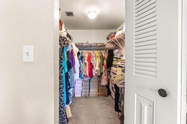 spacious closet with carpet