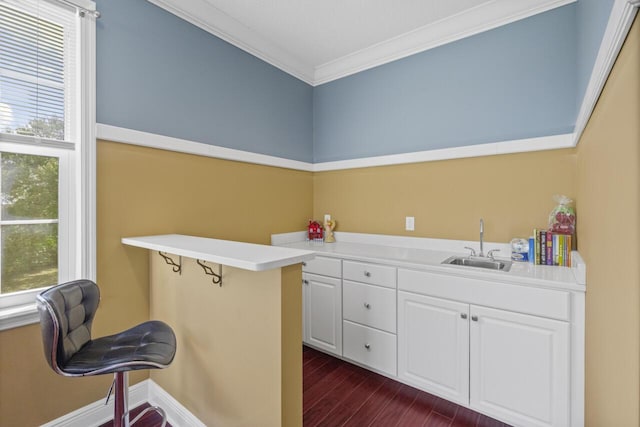 laundry area with crown molding, sink, and dark hardwood / wood-style floors