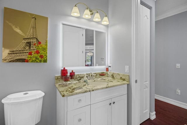 bathroom with vanity, wood-type flooring, and toilet