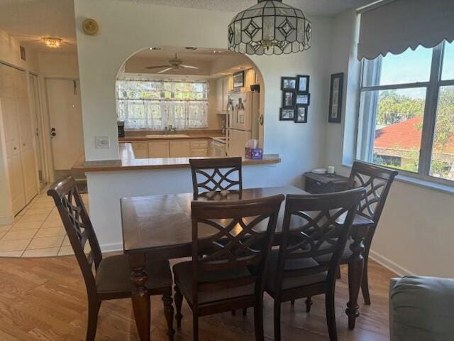 dining area featuring ceiling fan, sink, and light hardwood / wood-style flooring