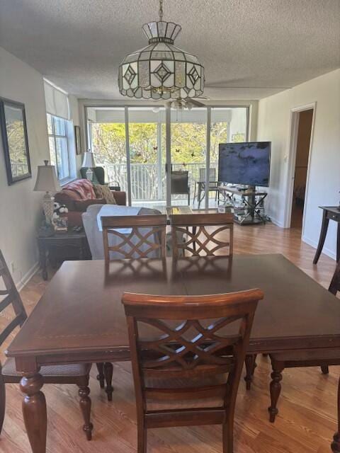 dining area with hardwood / wood-style floors, floor to ceiling windows, and a textured ceiling