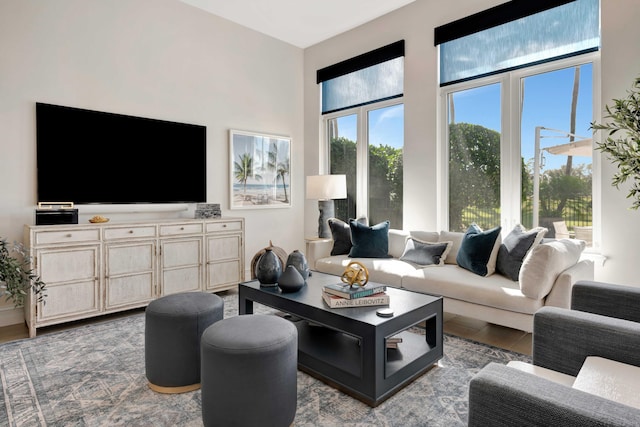 living room with dark hardwood / wood-style floors