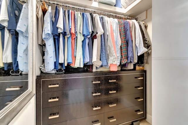 view of spacious closet