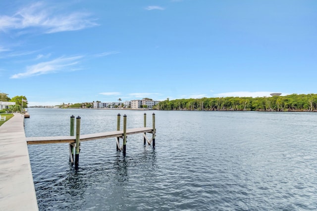 dock area with a water view