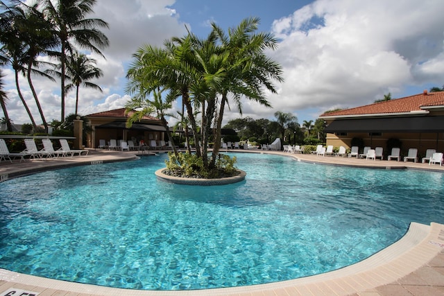 view of swimming pool