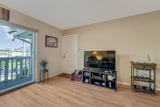 living room with hardwood / wood-style floors