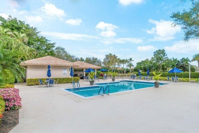 view of swimming pool featuring a patio area