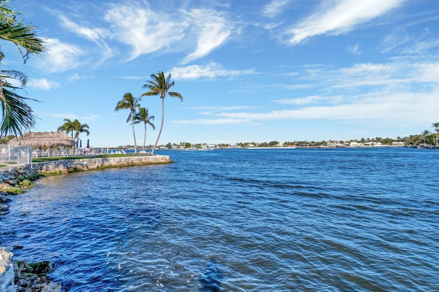 property view of water