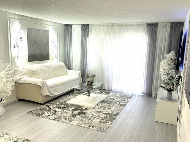 living room with light hardwood / wood-style floors and a textured ceiling