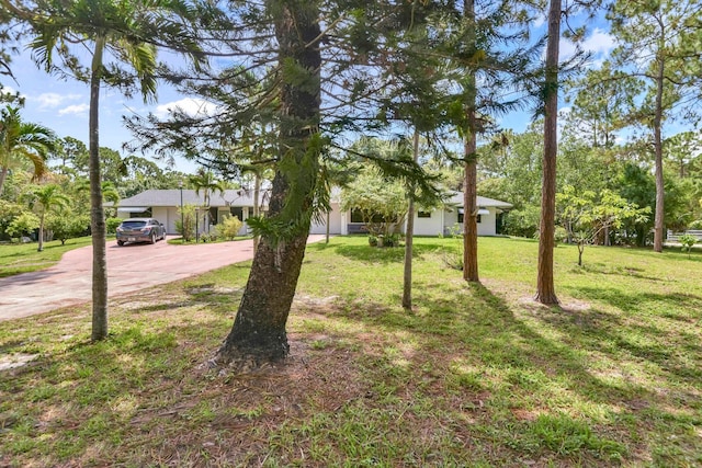 view of front of house featuring concrete driveway and a front lawn
