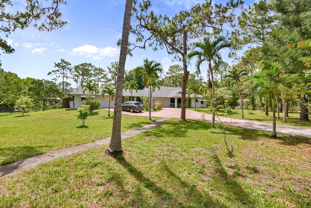 ranch-style home featuring concrete driveway and a front lawn