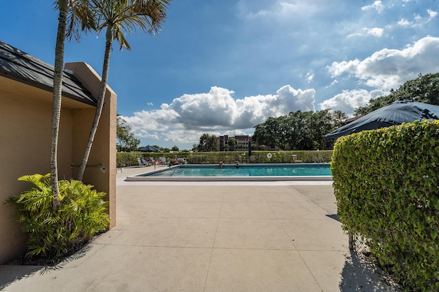 view of swimming pool with a patio area