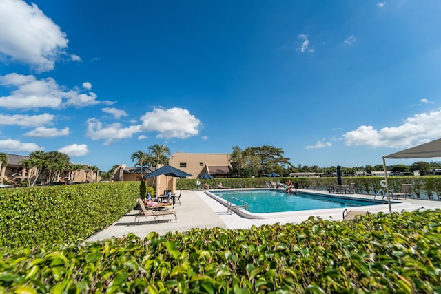 view of pool featuring a patio area