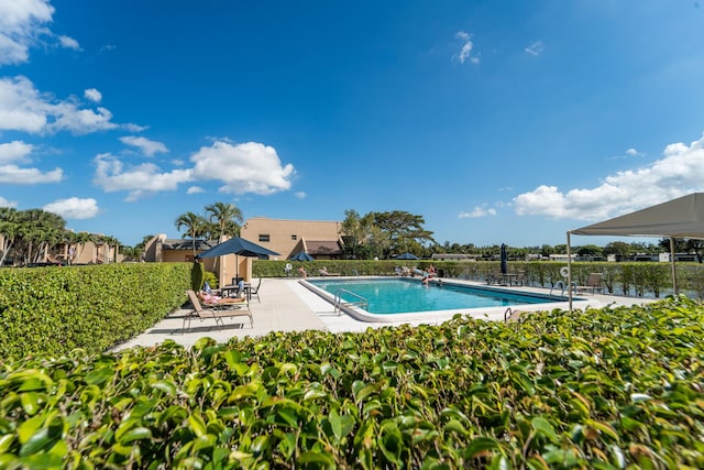 view of pool with a patio and a water view