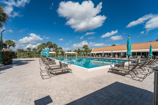 view of pool featuring a patio area