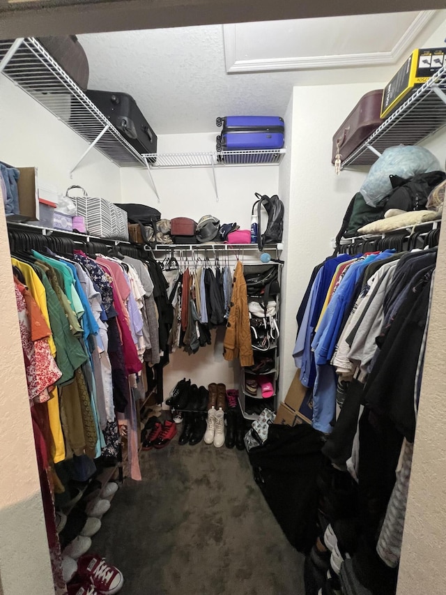 walk in closet featuring carpet flooring