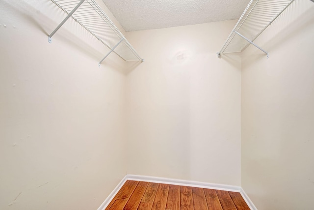 walk in closet featuring hardwood / wood-style flooring