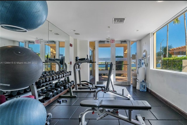 exercise room featuring floor to ceiling windows