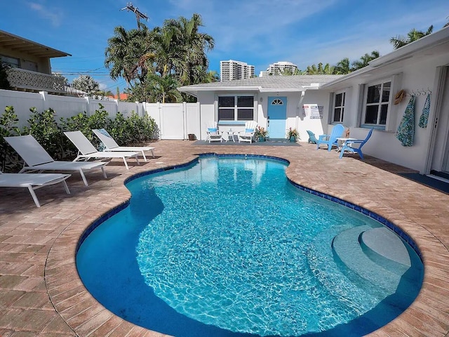 view of pool featuring a patio