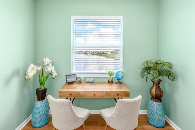 office space featuring hardwood / wood-style flooring