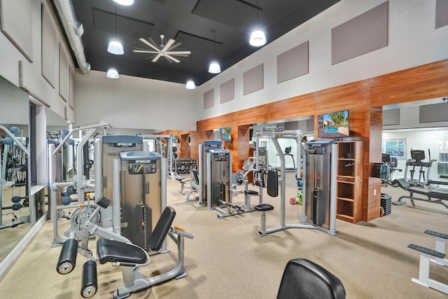 exercise room with a towering ceiling