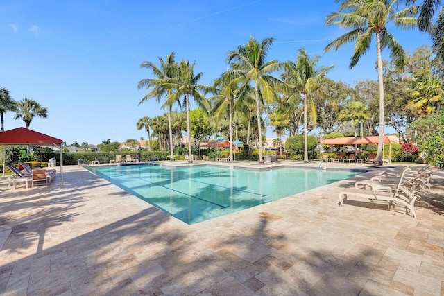 view of swimming pool featuring a patio area