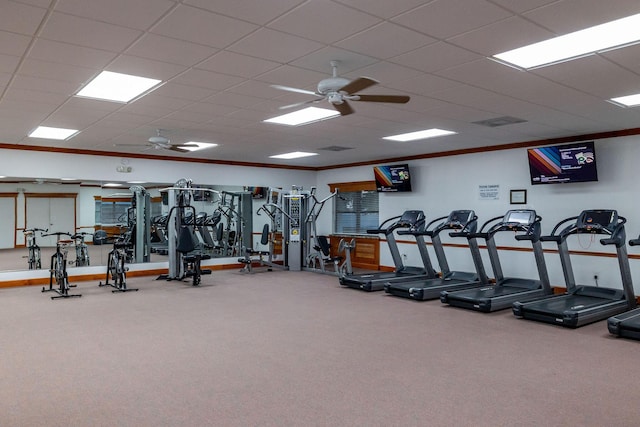 exercise room featuring crown molding, ceiling fan, and a paneled ceiling