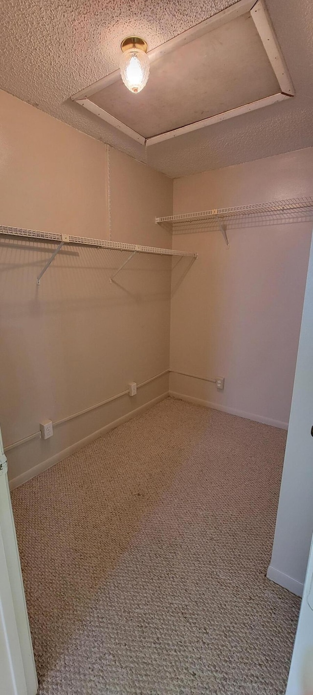 1747 W Royal Tern Ln Unit 1, Fort Pierce, FL 34982 - spacious closet with carpet flooring