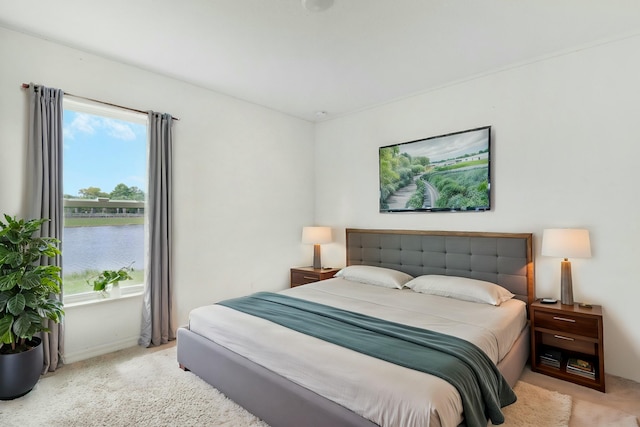 bedroom featuring a water view and light carpet