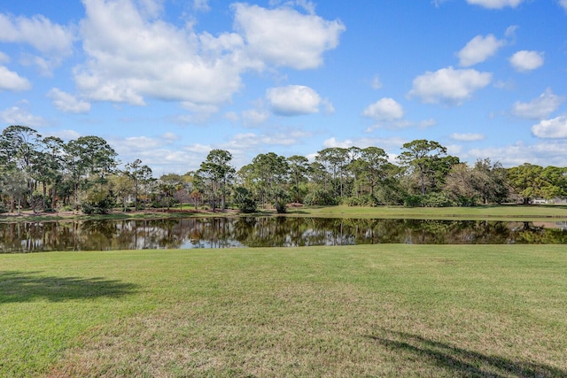 view of water feature