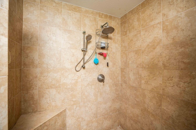 room details with tiled shower