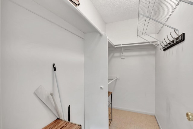 950 Flanders T, Delray Beach, FL 33484 - spacious closet featuring carpet flooring