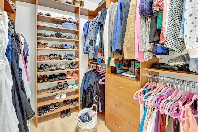 walk in closet featuring hardwood / wood-style flooring