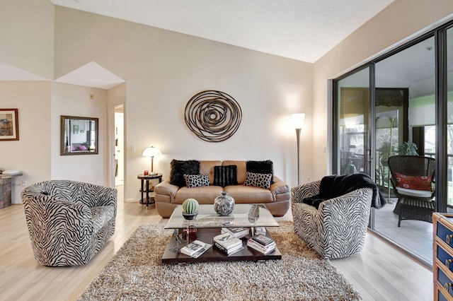 living room featuring vaulted ceiling and light hardwood / wood-style floors